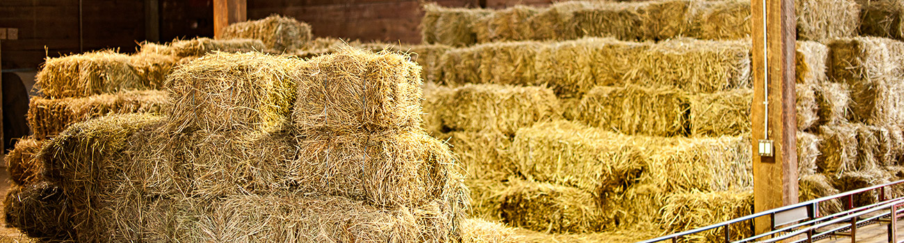 Spontaneous ignition of hay