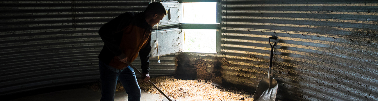 Worker entry into grain storage bins