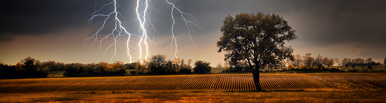 Lightning safety tips 