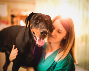 Veterinarian Target Market